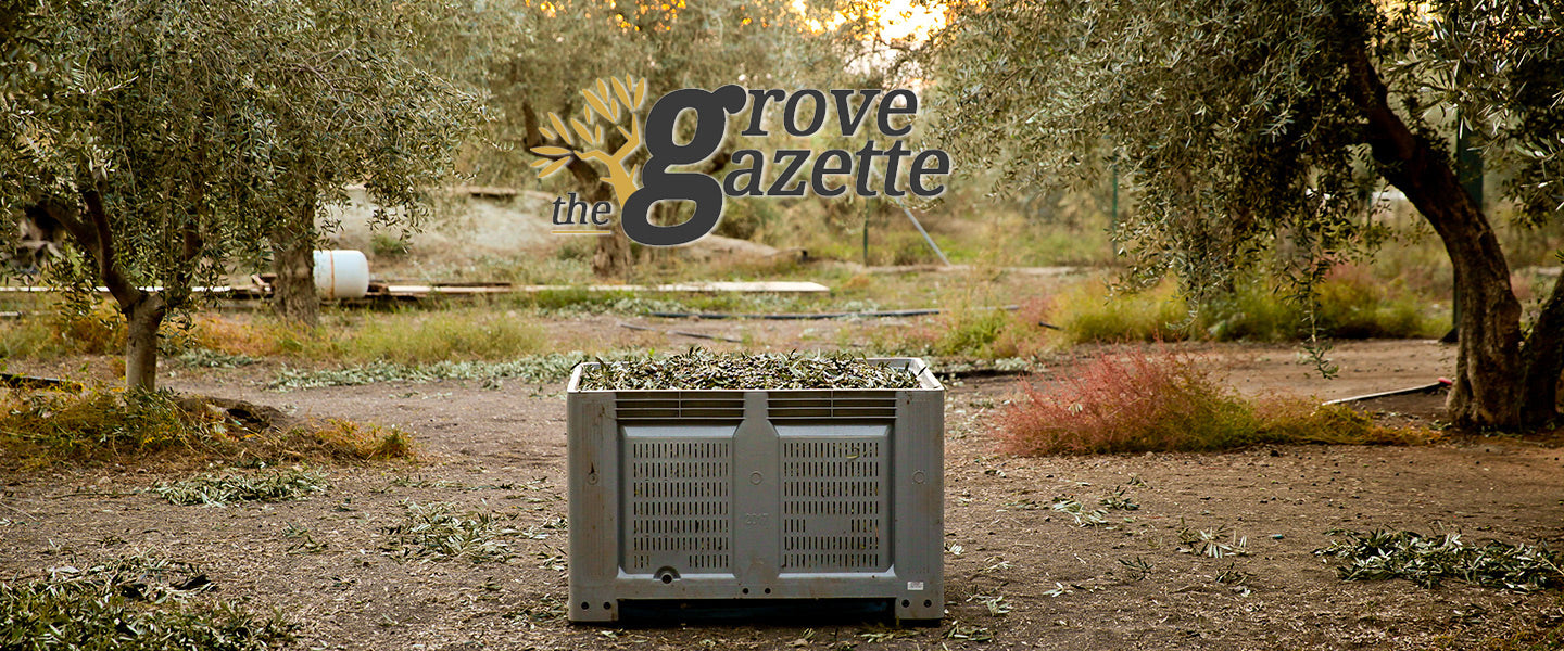 The Grove Gazette - Summer 2019 article
