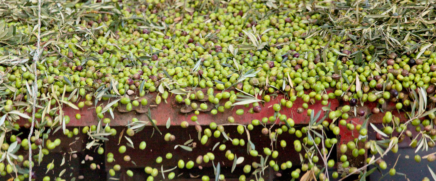 New Arrivals 2020: Our first oils from France and Greece! article