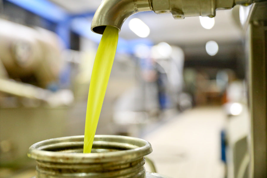 Does Olive Oil Make You Live Longer?