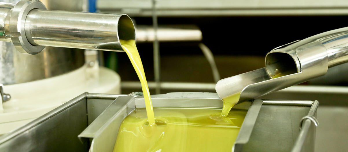 Freshly extracted olive oil flowing from stainless steel pipes into a tank at an olive mill.