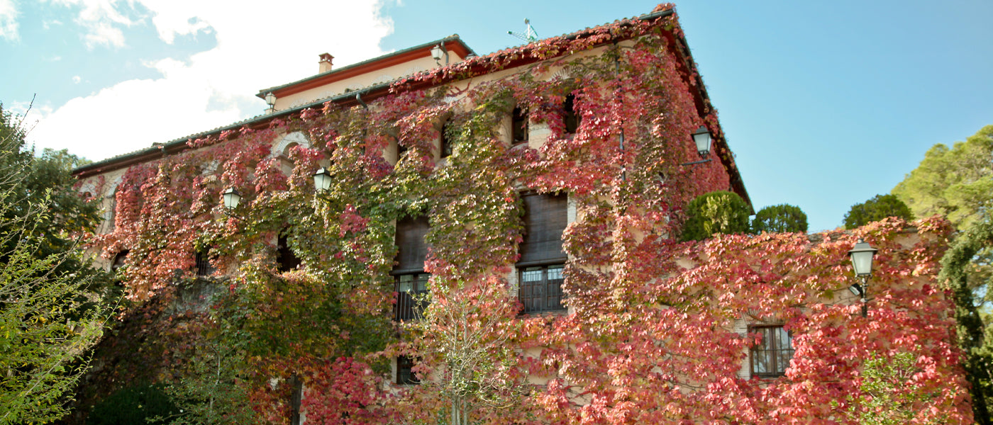 Historic Masía el Altet estate house covered with red and green autumn ivy.