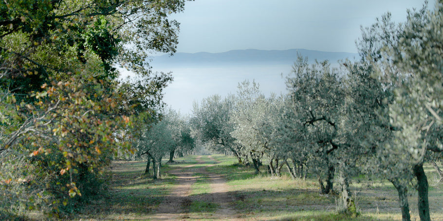 Agraria Riva del Garda