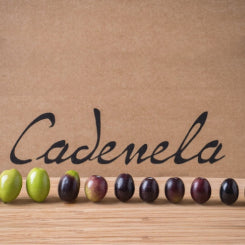 Cadenela