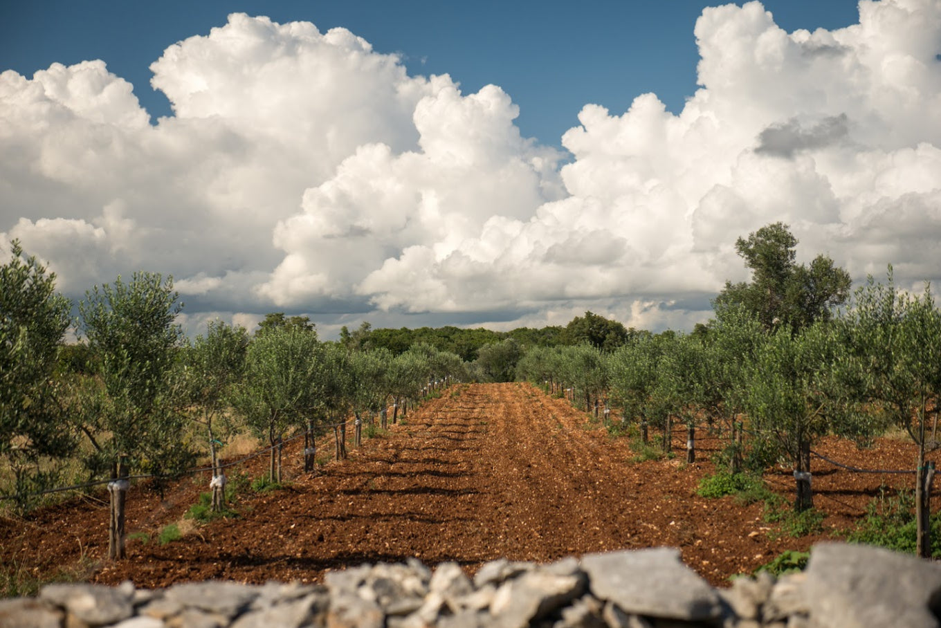 Cadenela Organic For Meat