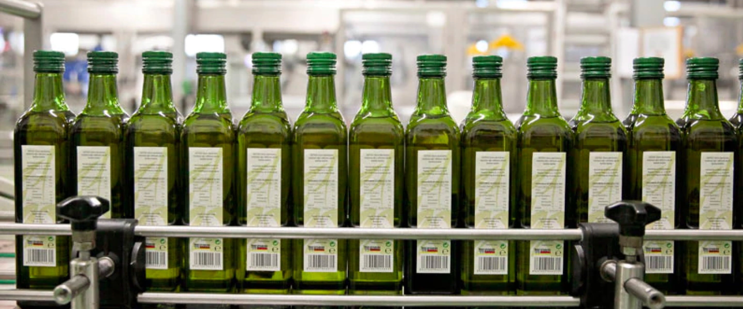 Olive Oil