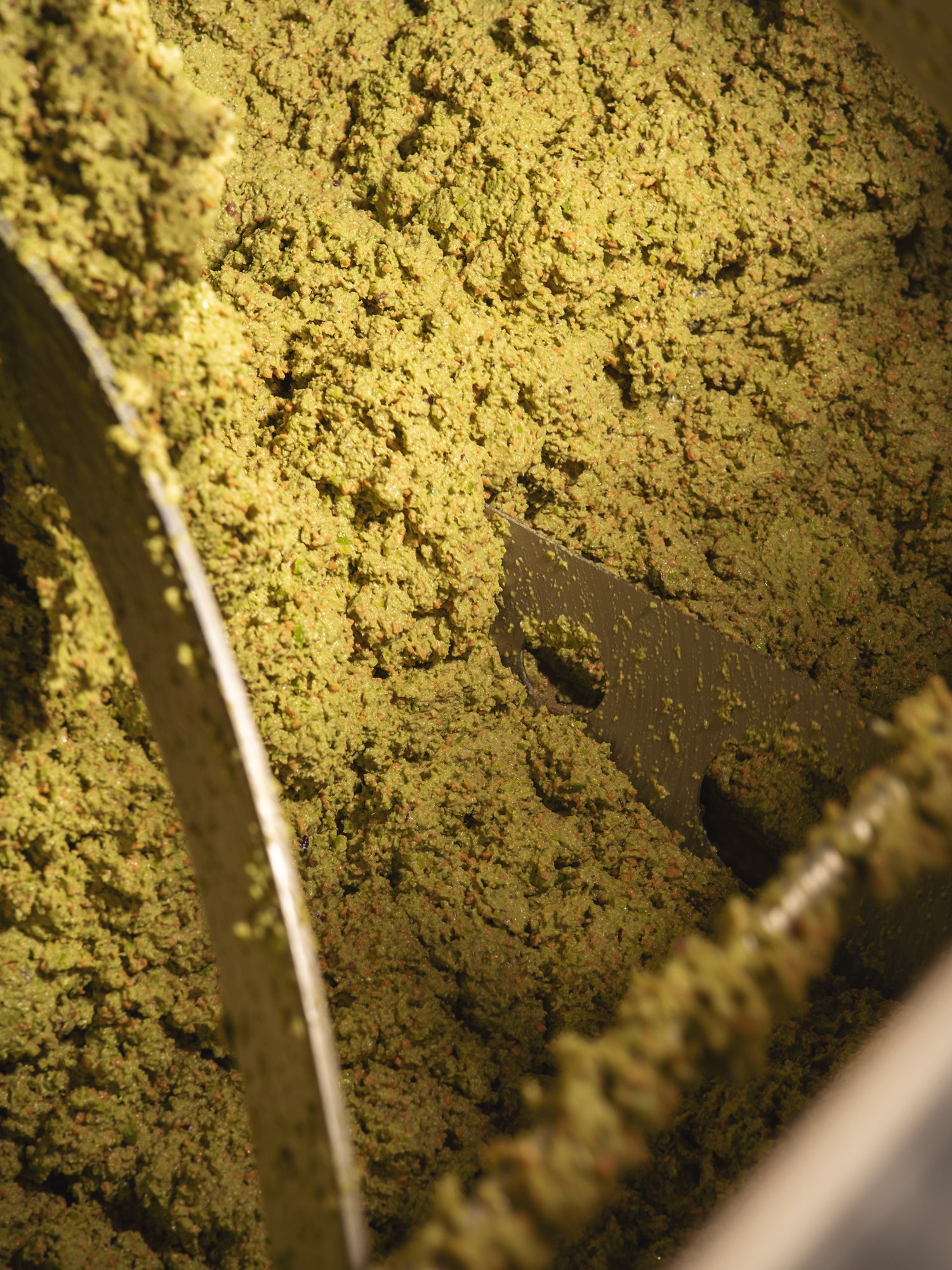 Sabino Leone Ex Terra Organic
