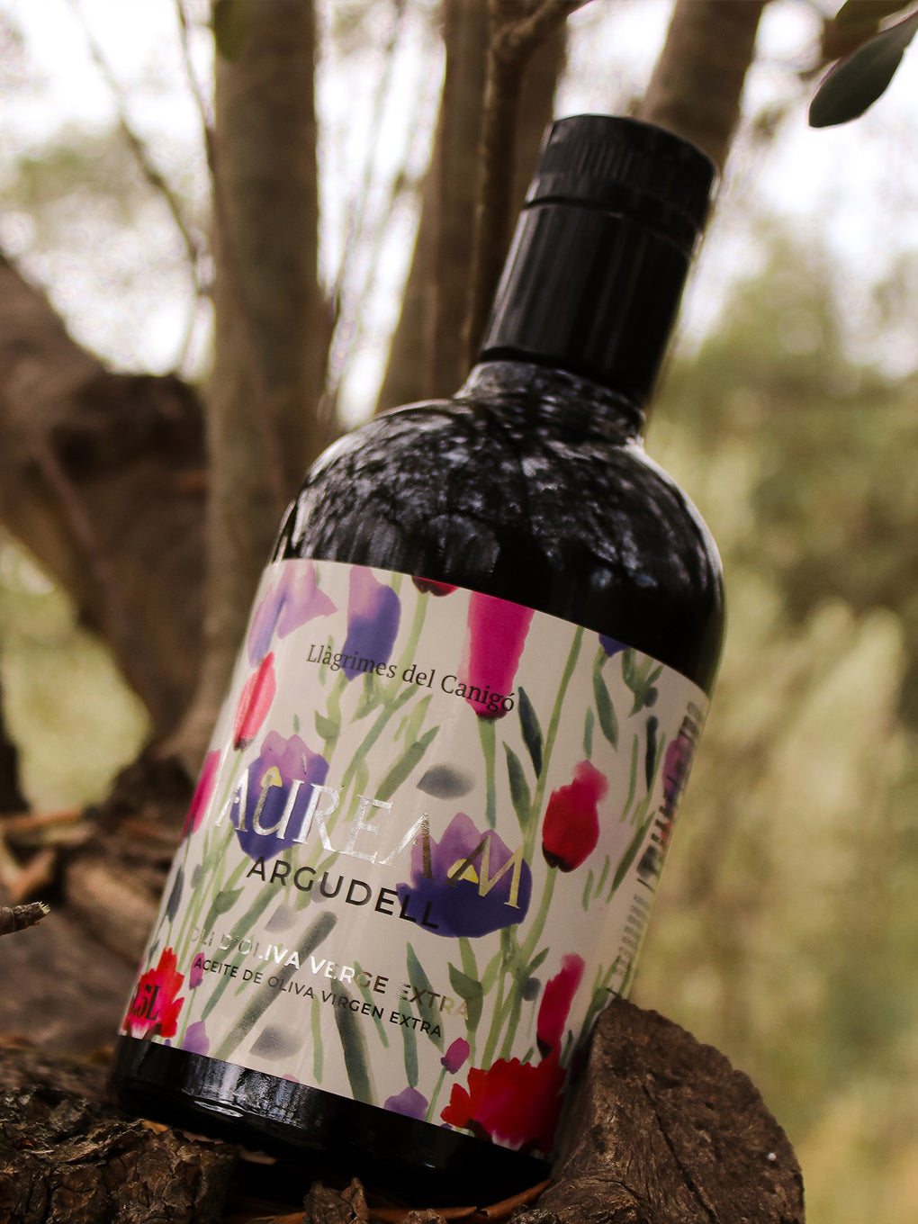 Llàgrimes del Canigó Auream Argudell