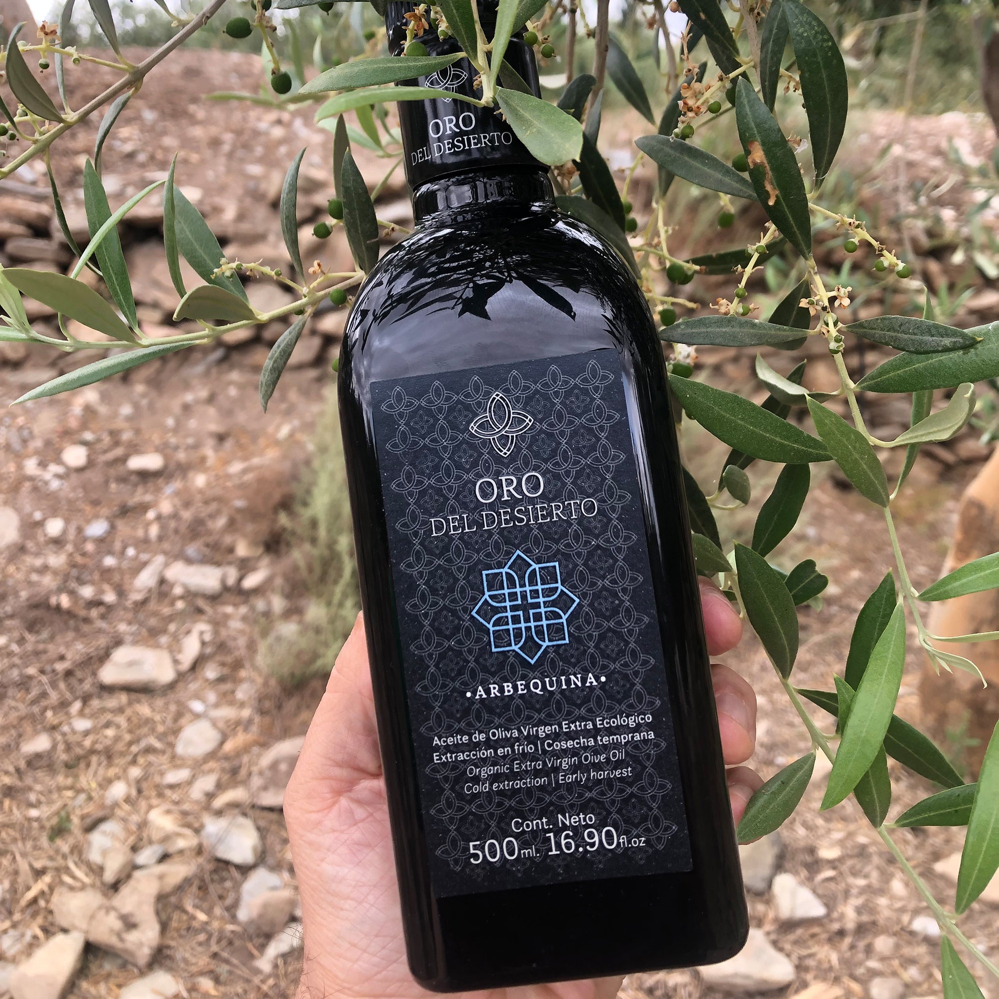 Oro del Desierto Organic Arbequina Extra Virgin Olive Oil 16.9 fl
