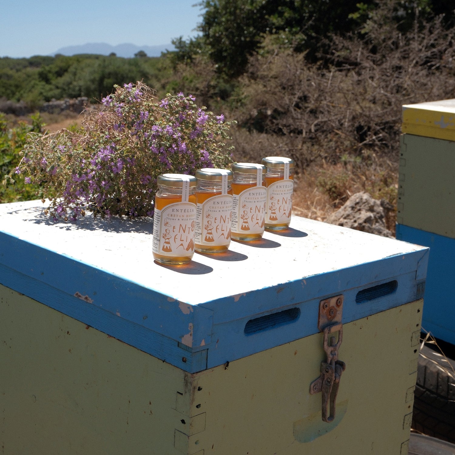 Entelia Thyme & Wild Flowers Cretan Honey