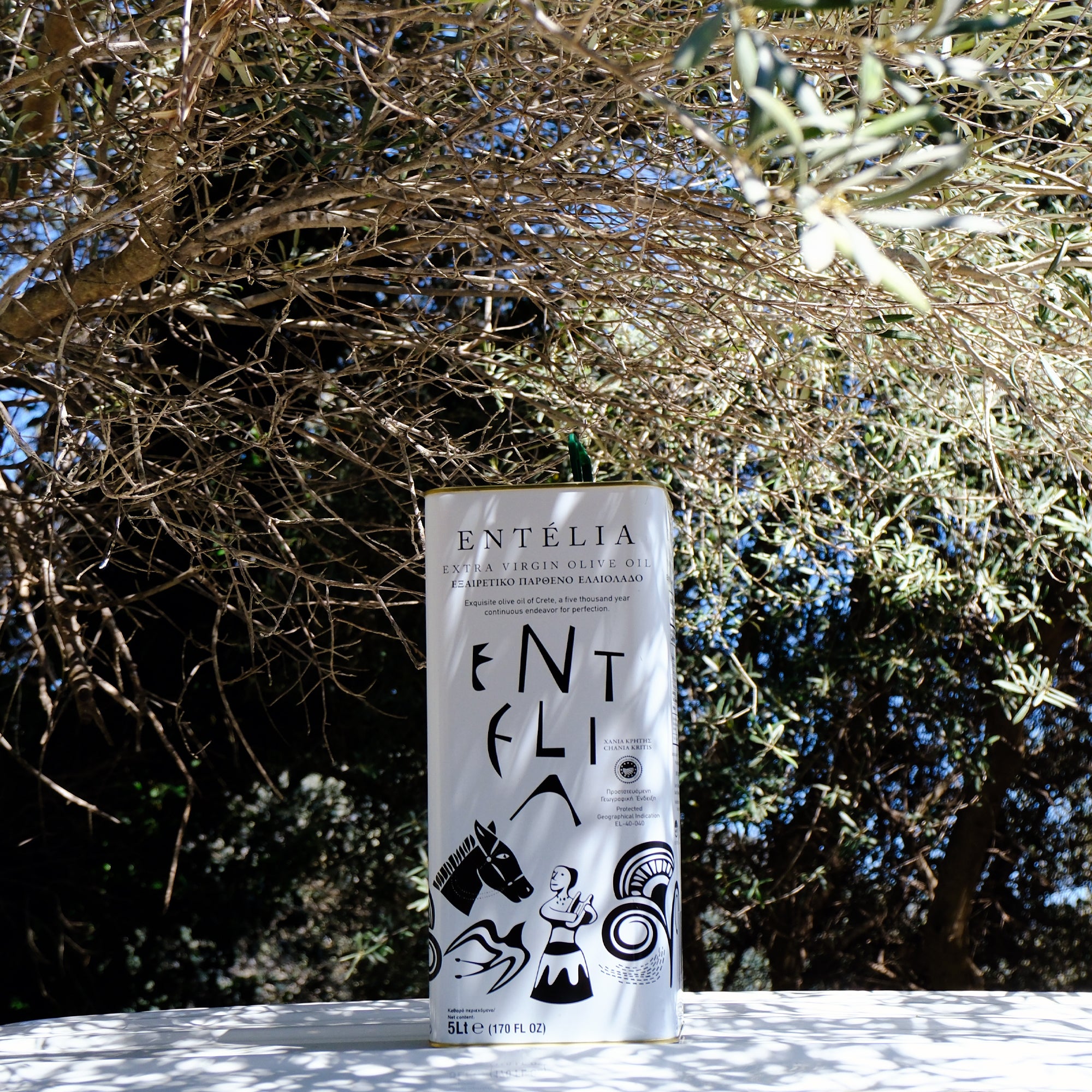 Entelia 5L Tin