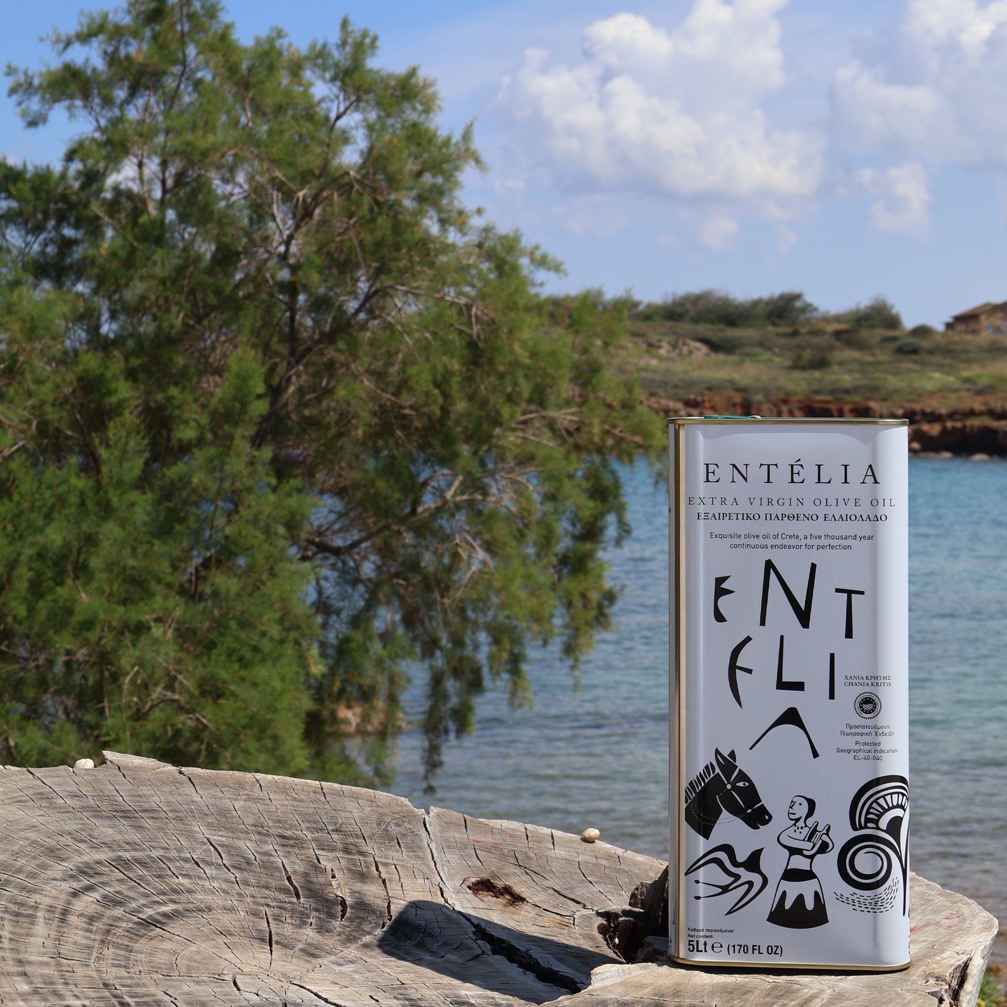 Entelia 5L Tin
