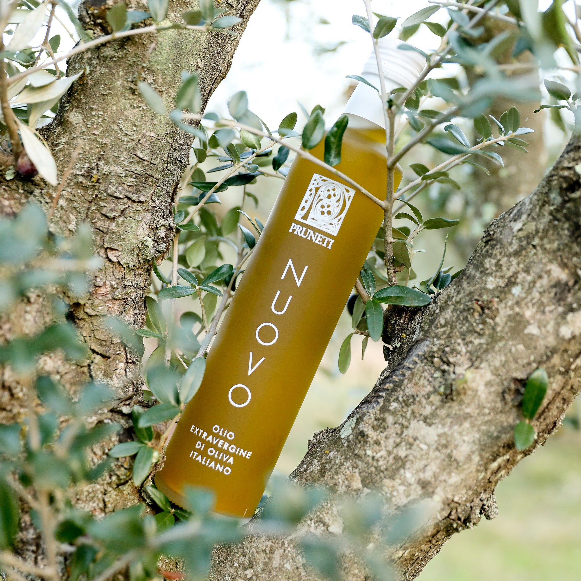 Frantoio Pruneti Olio Nuovo