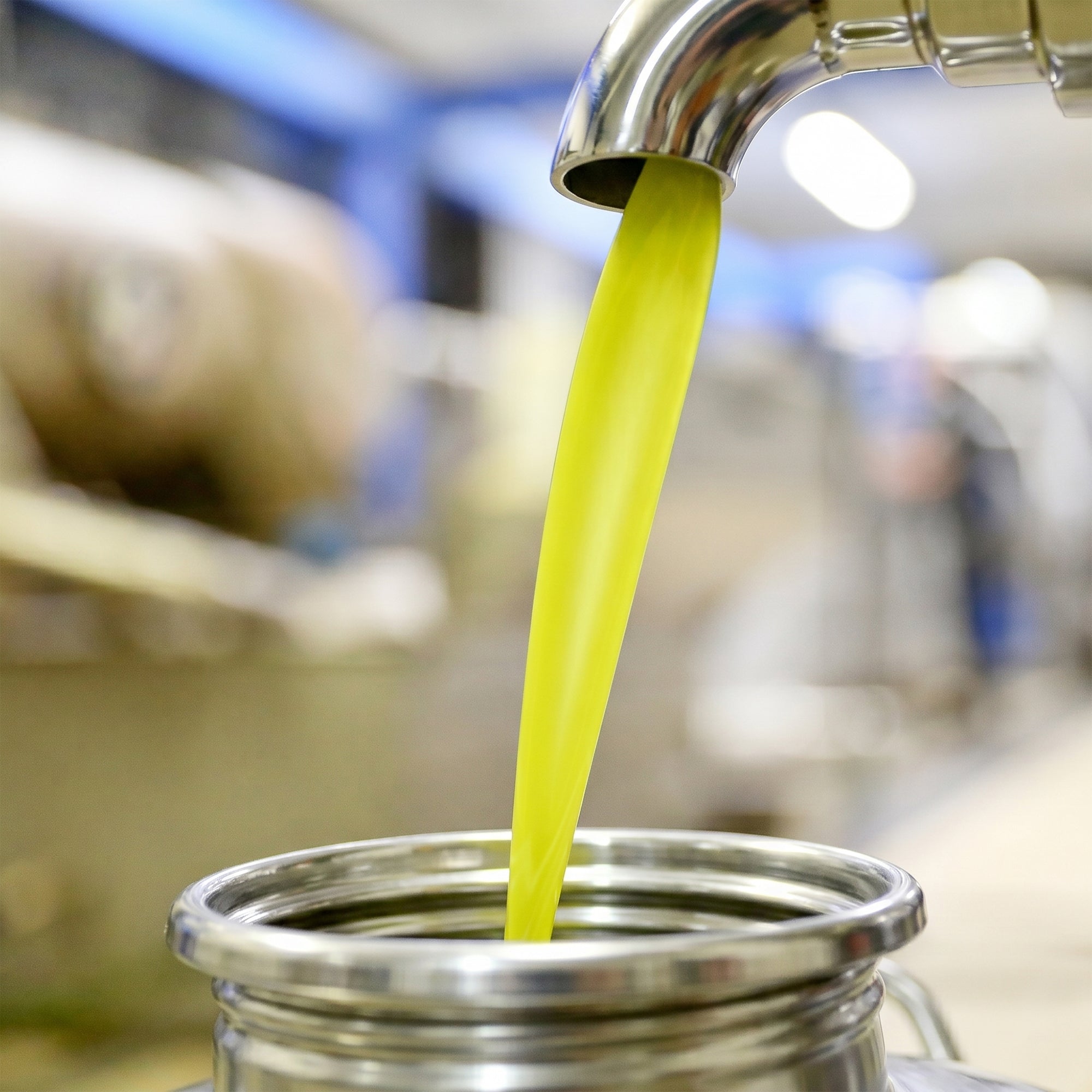 Frantoio Pruneti Olio Nuovo