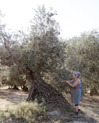 Marina Palusci L'Extravergine