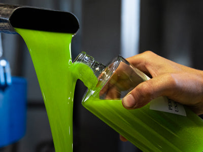 Novello early harvest fresh extra virgin olive oil at the mill