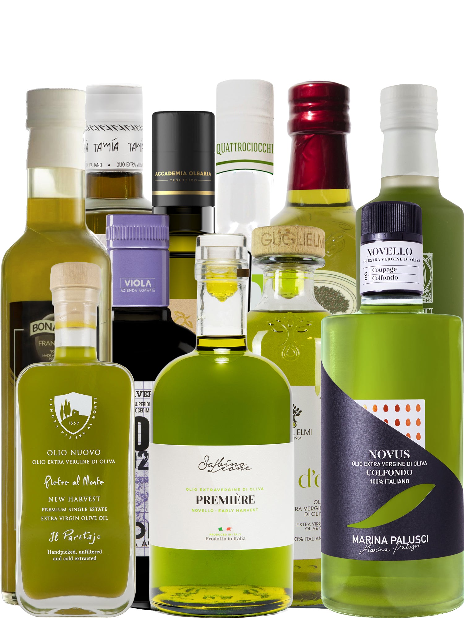 The Italian Novello Experience