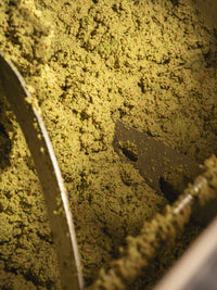 Sabino Leone La Patraun