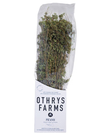 Othrys Farms Oregano